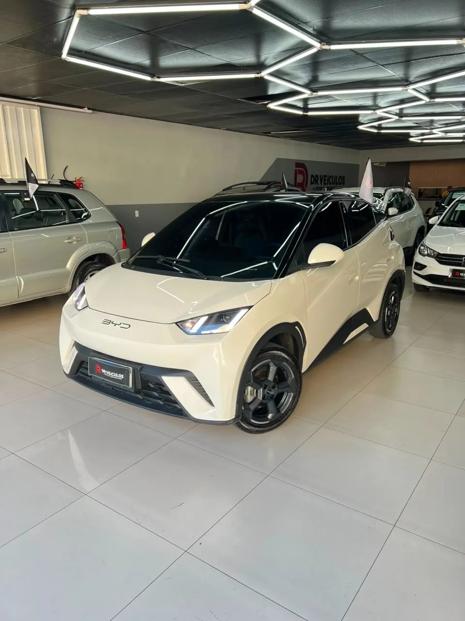 BYD Dolphin GS (Elétrico) 2025