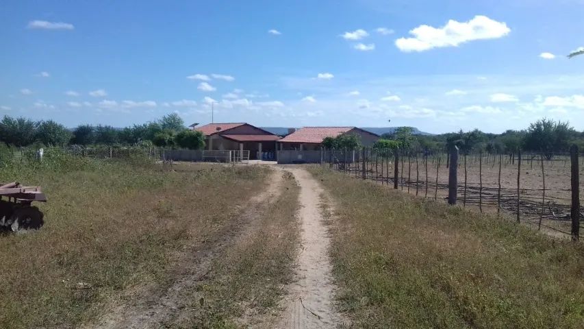 Fazenda sítio retiro - Foto 2