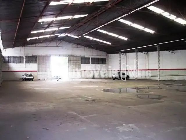 Venda Galpão União Belo Horizonte - Foto 5