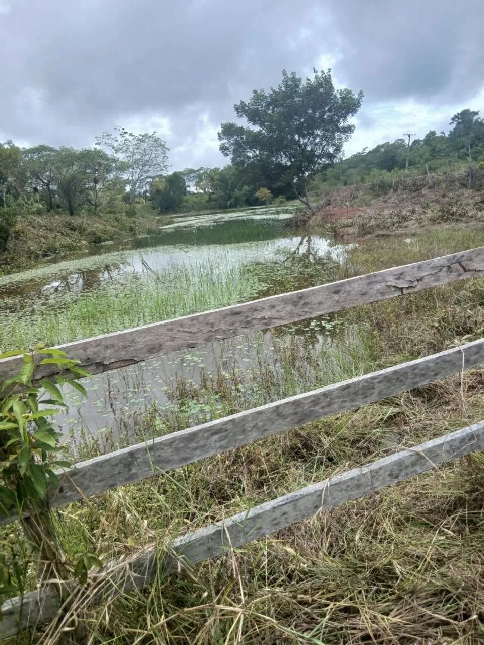Fazenda Estrada de Altazes - Foto 3