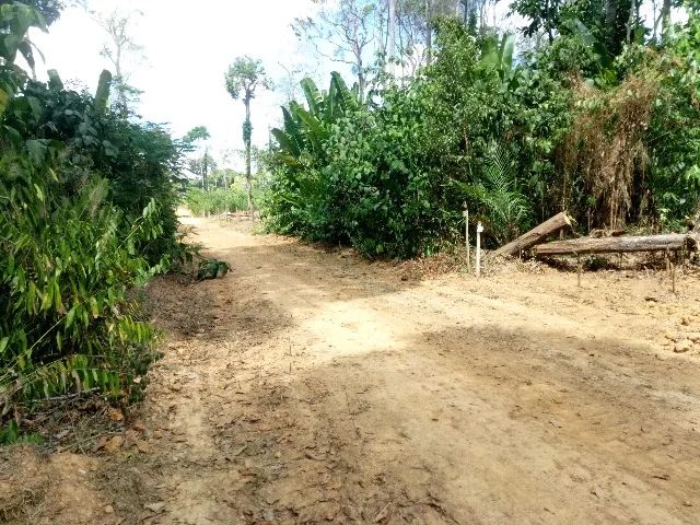 LOTE da Chácara São Raimundo  - Foto 2