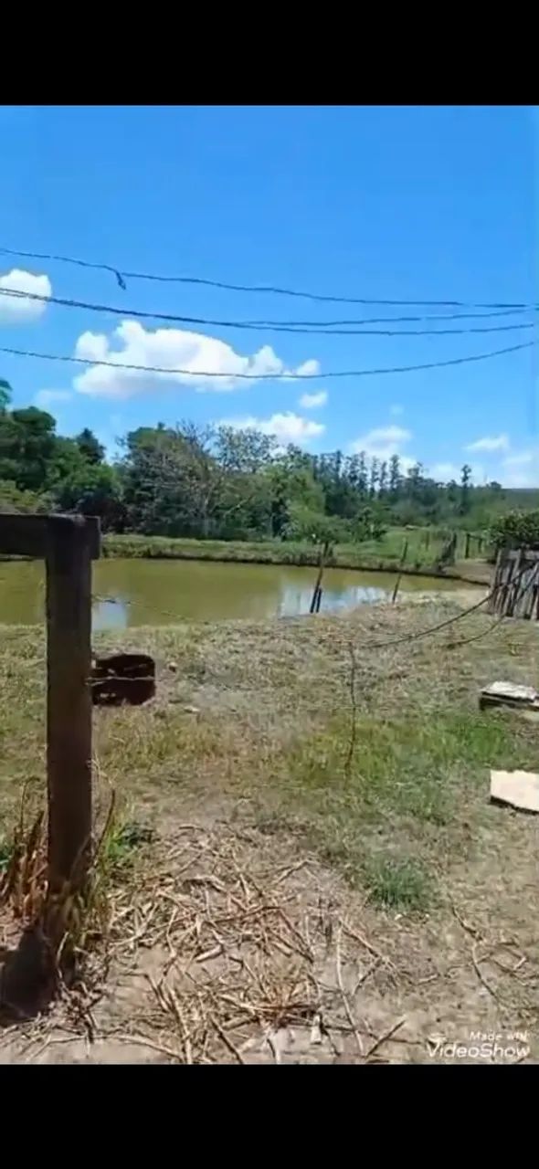 Vendo chácara no bairro dos binos conchas.  Lugar calmo e tranquilo otimo para lazer. - Foto 4