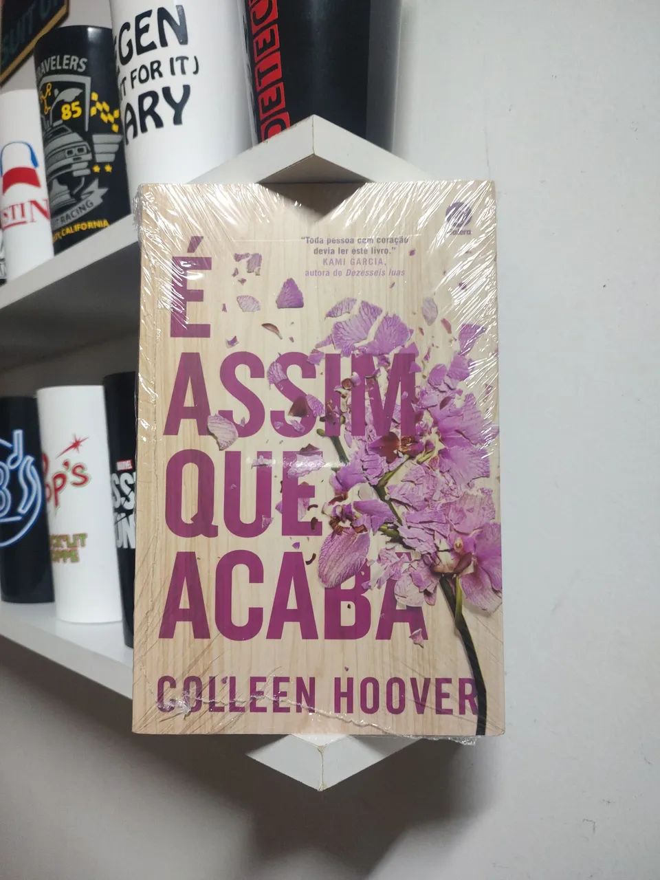 Livro É assim que acaba 
