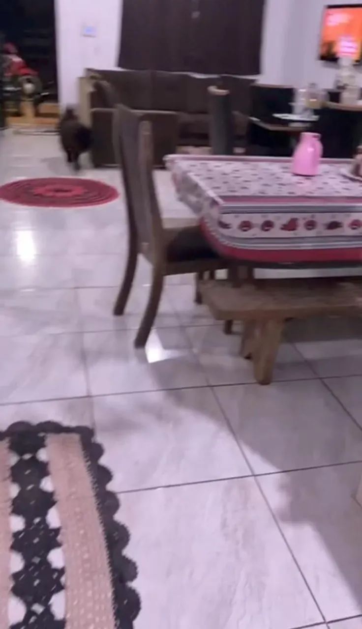 Casa Barata A venda  - Foto 4