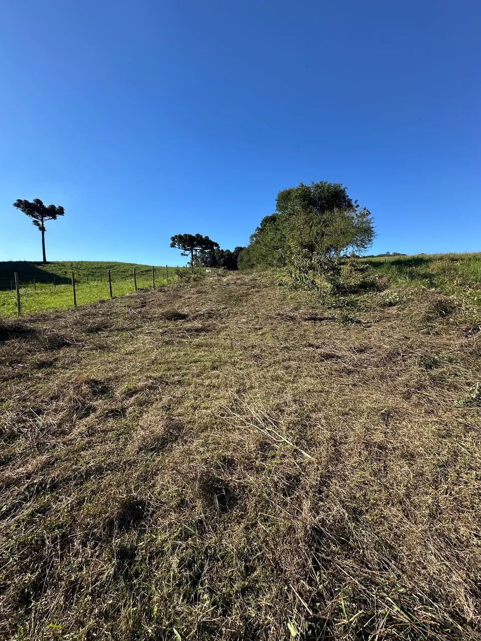 Terreno em contenda - Foto 2