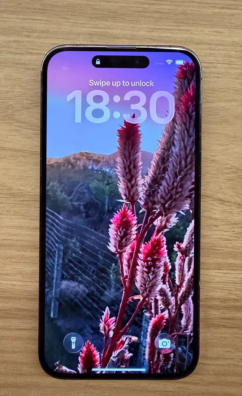 iPhone 14 Pro Max Roxo - bateria 85% - Celulares e Smartphones