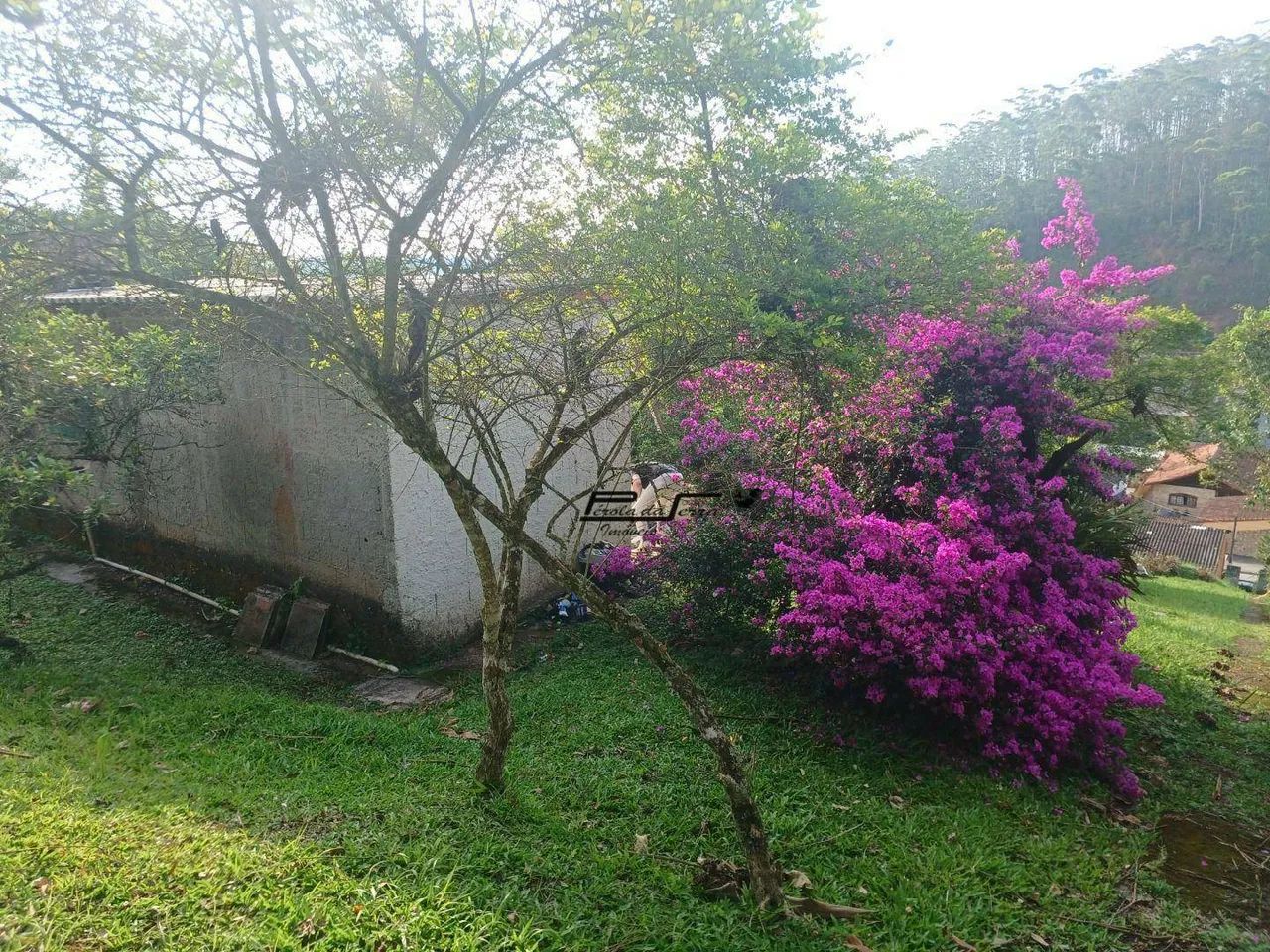 Imóvel comercial à venda na Quarta Divisão - Foto 3