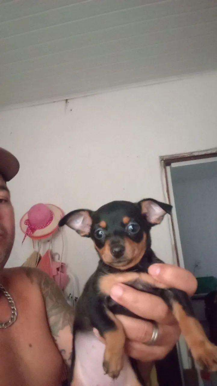 Vendo - Foto 4