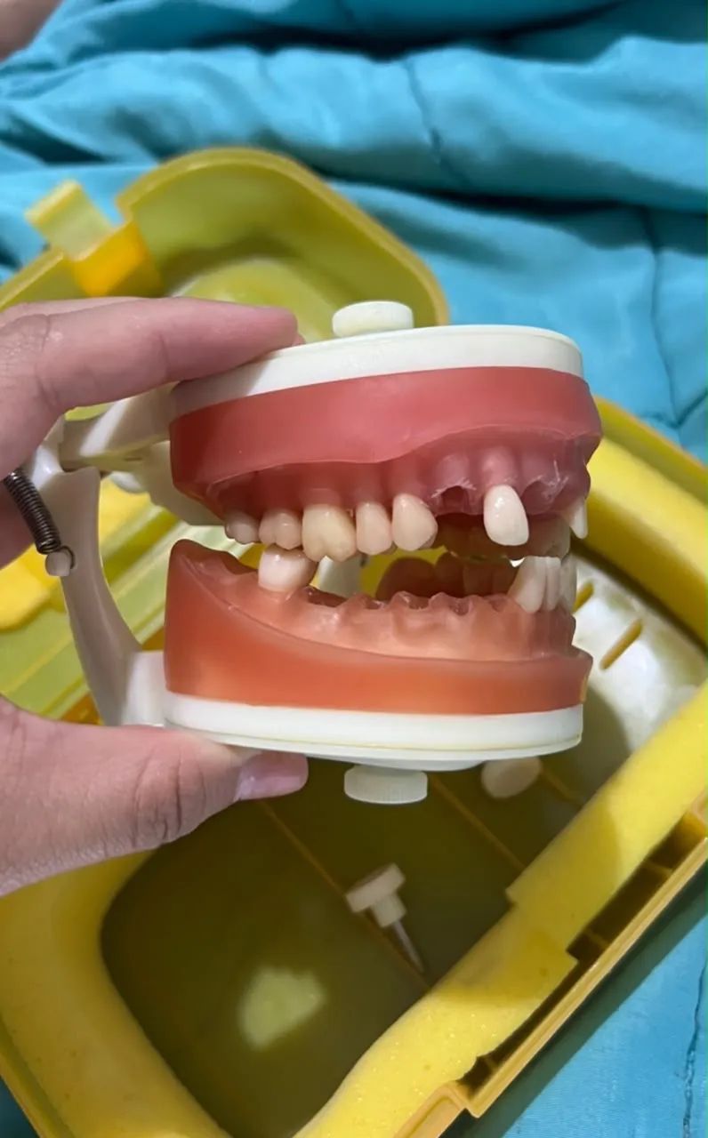 Vendo manequim odontológico 