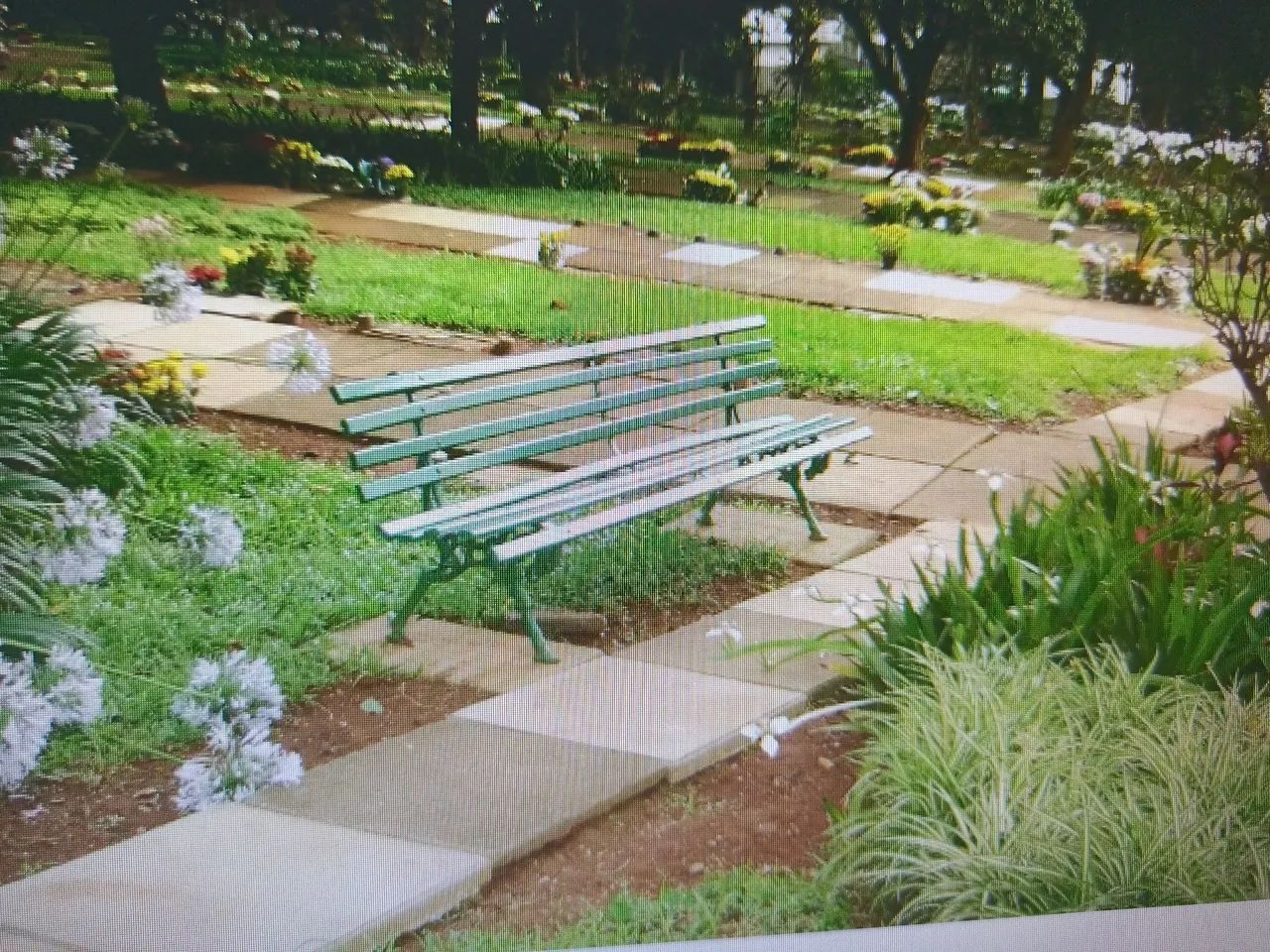Morumbi Jazigo 3 gavetas Cemitério da Paz - Foto 2