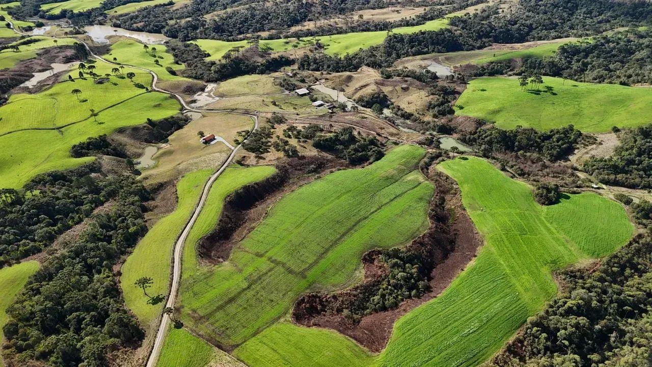 Propriedade Rural  45 Hectares | BOM RETIRO/SC - Foto 5