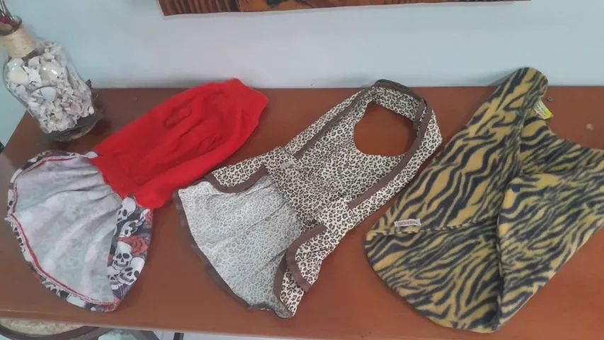 Roupa Para Cachorro Tam 22 Casaco Vestidos Pet 3 Peças - Foto 5