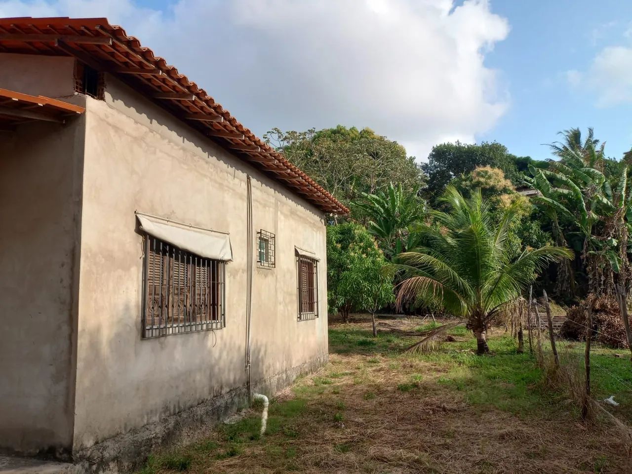 Casa raposa  - Foto 4