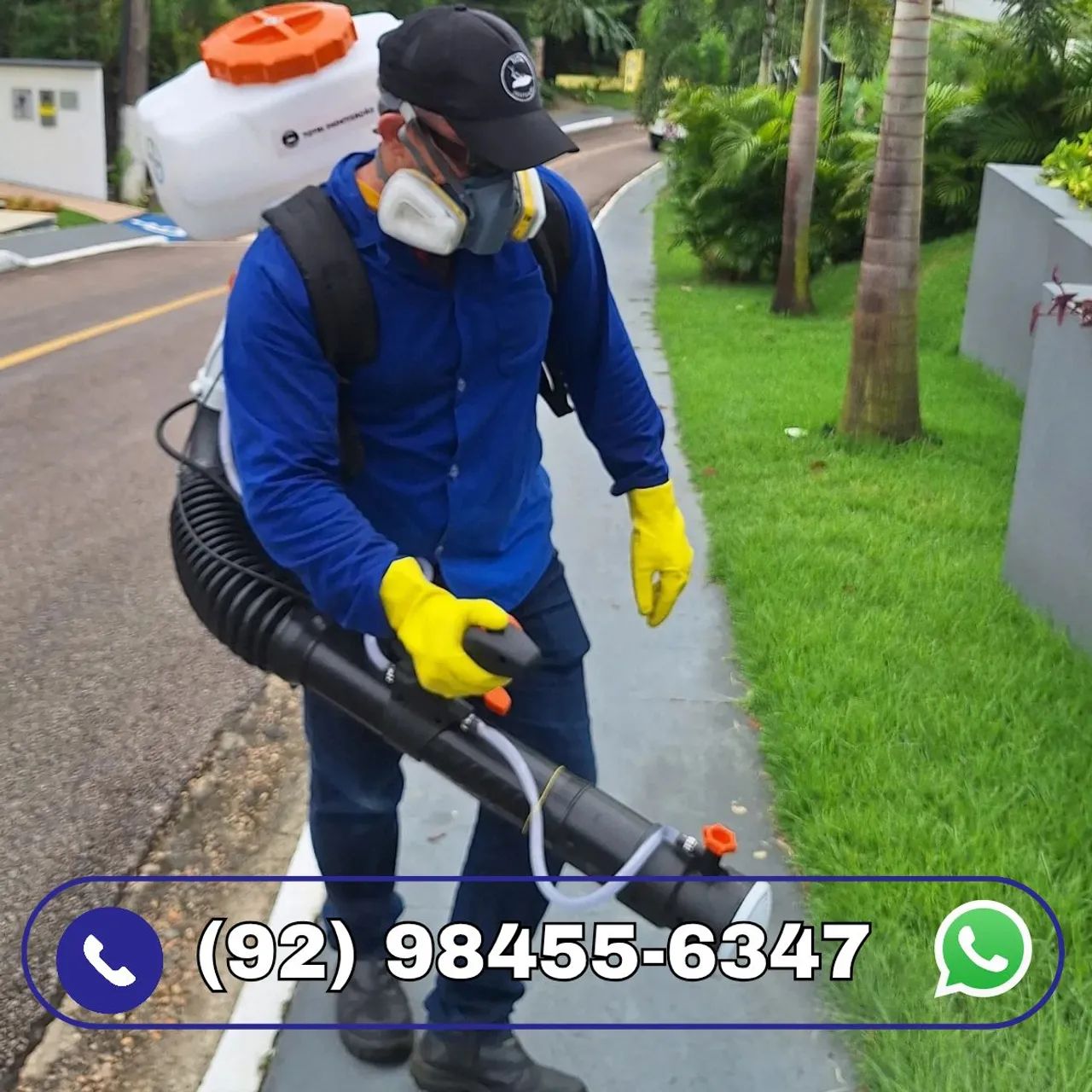 Total Dedetização Manaus  - Foto 2