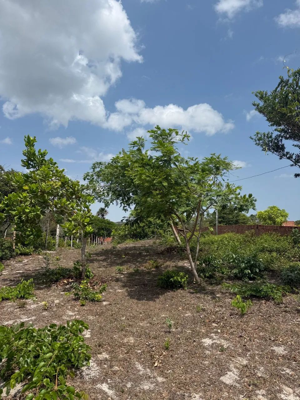 Terreno a beira do rio , povoado andiroba . - Foto 2