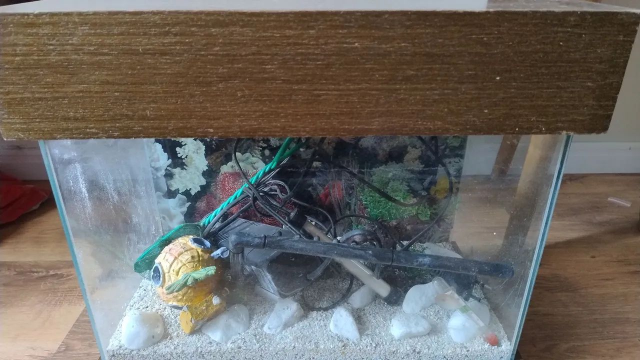 Aquário 35 litros - Foto 3