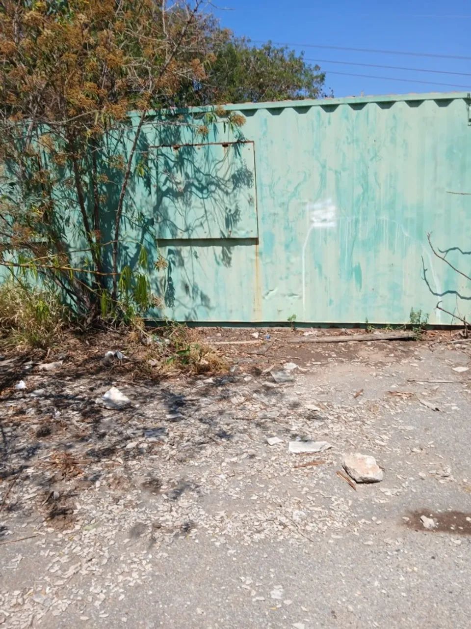 container - Foto 5