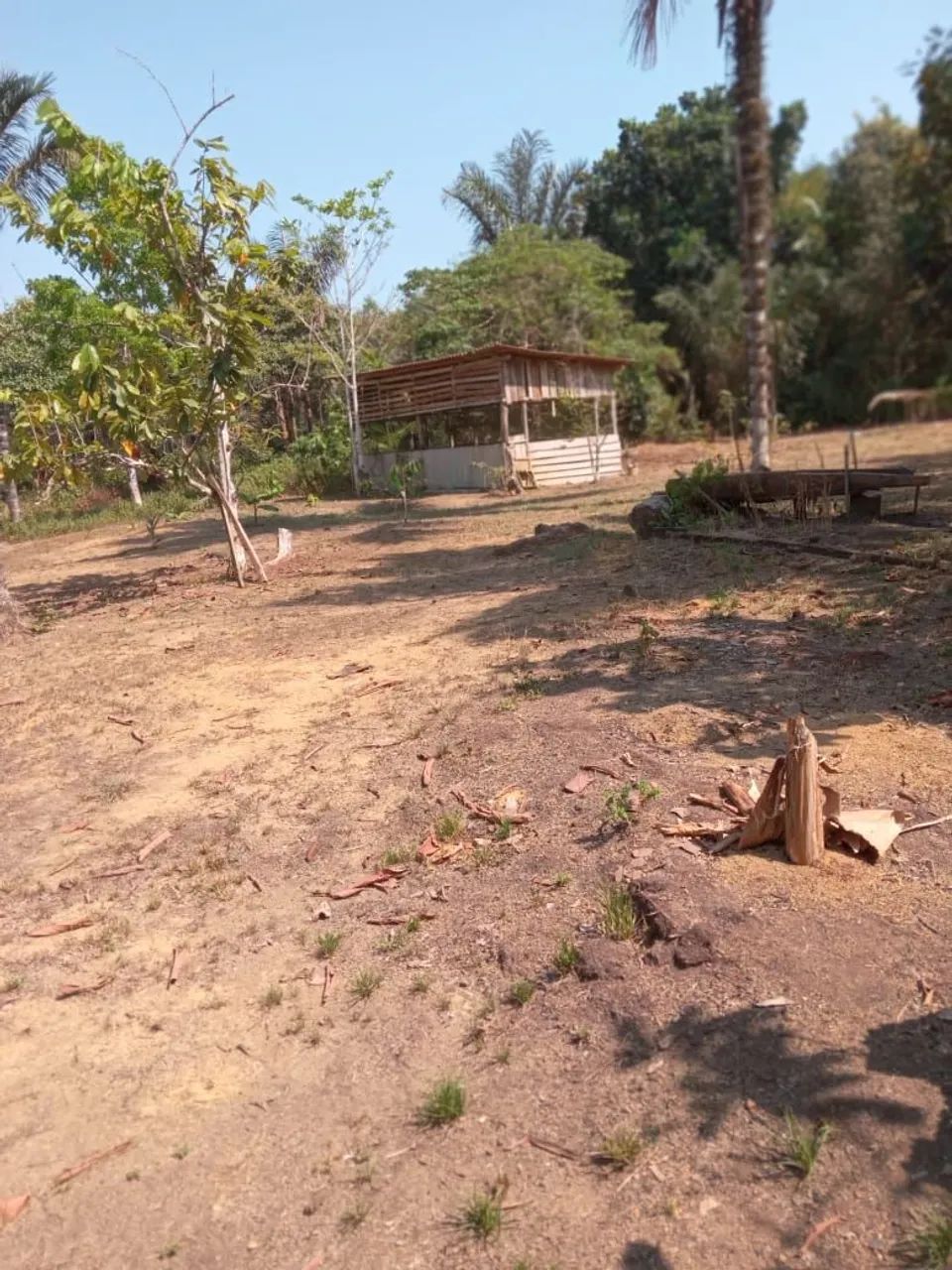Terreno no Tarumã-Açú 200x1000 - Foto 3