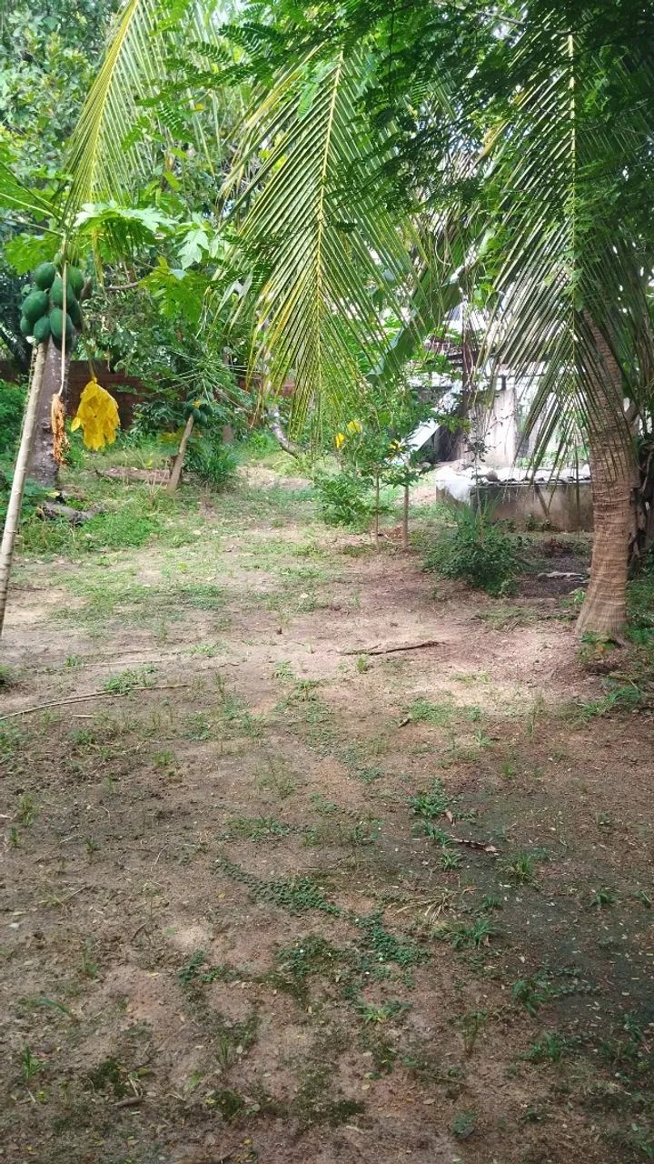 Terreno, Vendo ou troco em carro  - Foto 3