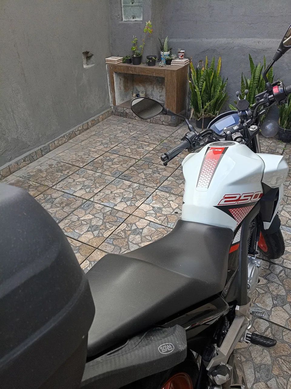 Moleza  - Foto 3