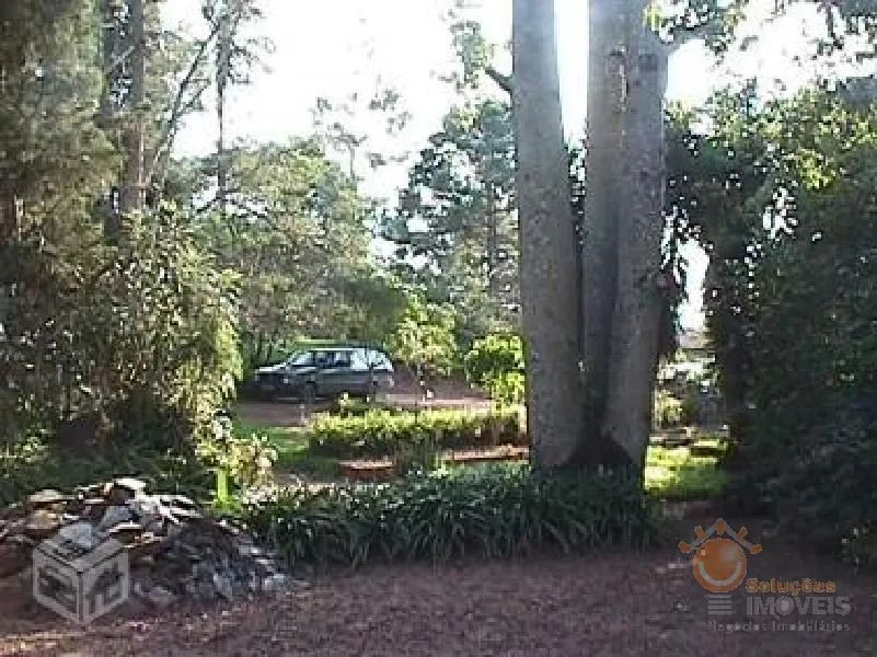 VENDA - CHÁCARA PAULAS E MENDES / PIEDADE/SP - Foto 3