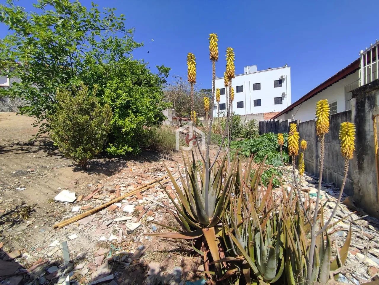 Terreno, de 240 m² (8x30) - Centro - Pindamonhangaba/SP - Foto 2