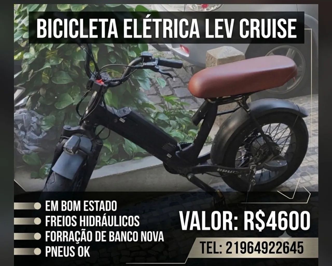 Lev Cruise  - Foto 5