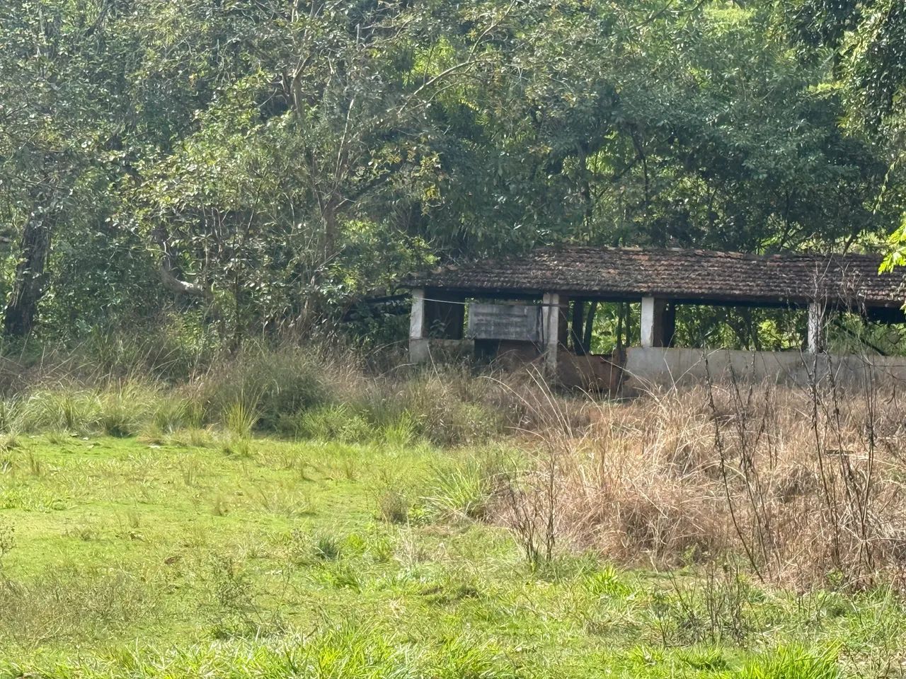 Fazenda em Conceição de Macabu  - Foto 3