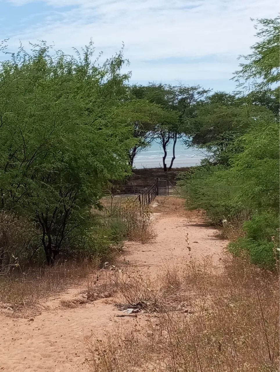 Praia Paradisíaca no RN - Foto 5