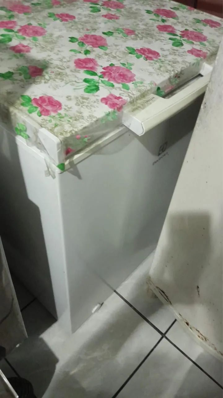 Freezer Electrolux