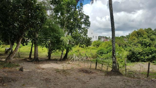 Terreno Centro Monte Gordo - Foto 3