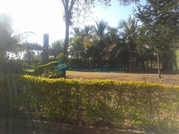 Chácara para alugar em Jequitibá, Paulinia cod:CH00036 - Foto 2