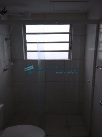 Apartamento para alugar com 2 dormitórios em Jardim flamboyant, Paulínia cod:AP01546 - Foto 13