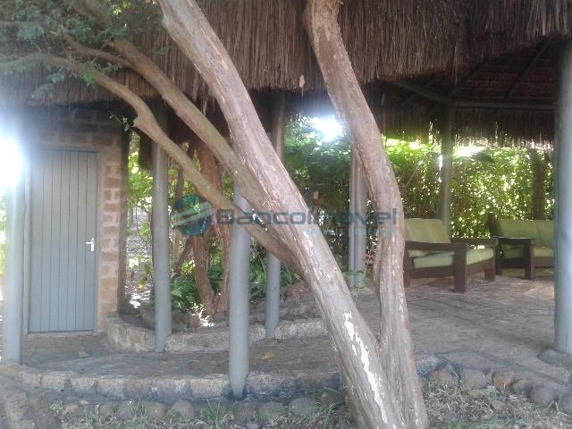 Chácara para alugar em Jequitibá, Paulinia cod:CH00036 - Foto 15