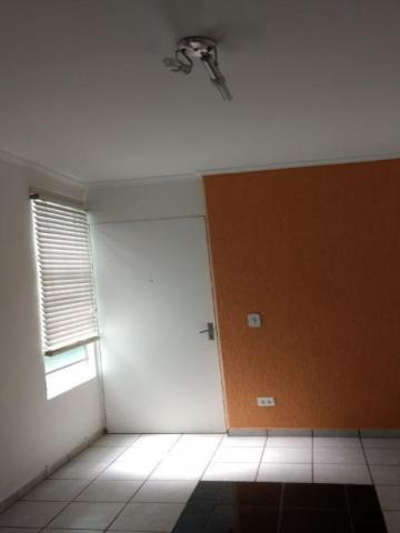 Apartamento à venda com 2 dormitórios em Vila padre manoel de nóbrega, Campinas cod:AP0616