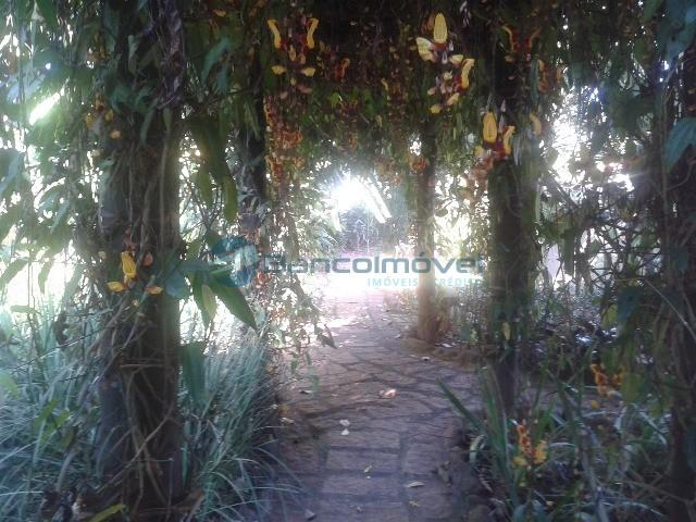 Chácara para alugar em Jequitibá, Paulinia cod:CH00036 - Foto 10