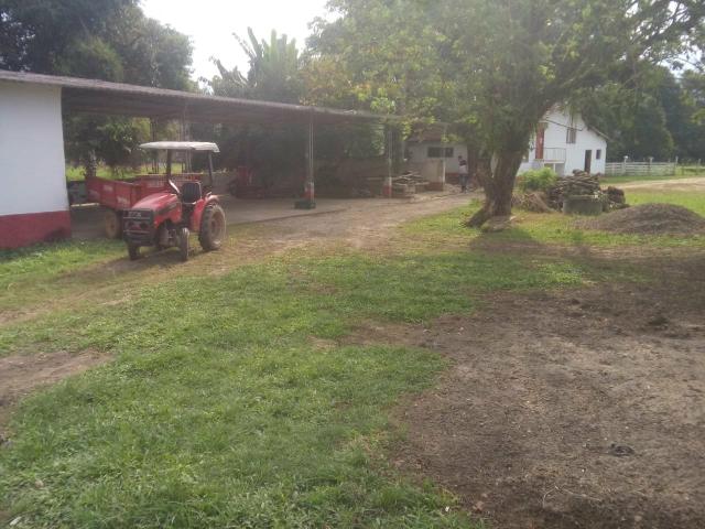 Linda fazenda em Cachoeiras de Macacu 20 alqueires oportunidade!!!! - Foto 5