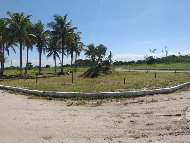 Vendo Terreno Quitado na melhor localização!!! - Foto 5