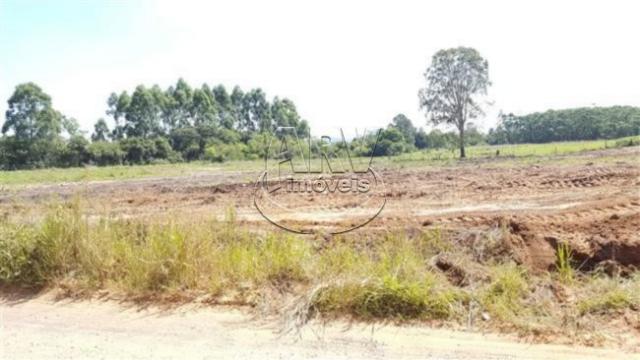 Terreno à venda em Costa do ipiranga, Gravataí cod:1013 - Foto 5