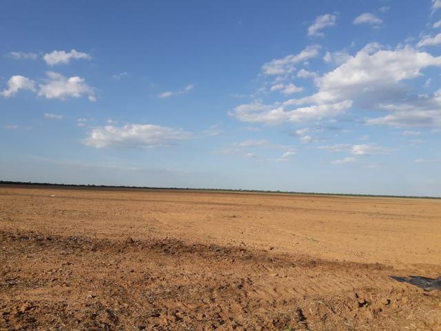 Fazenda em Barra - Foto 3