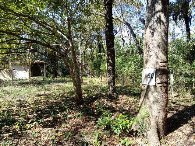 Rancho beira do rio cuiaba - Foto 12