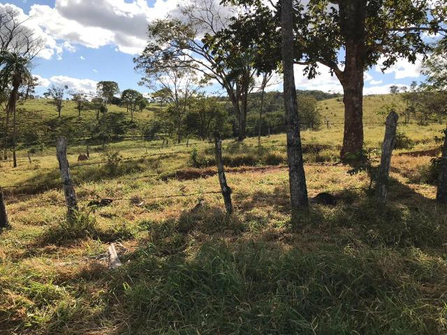 Chácara em Senador Canedo, 21 alqueires, 25 km de Goiânia _ saída para Bonfinopólis - Foto 16