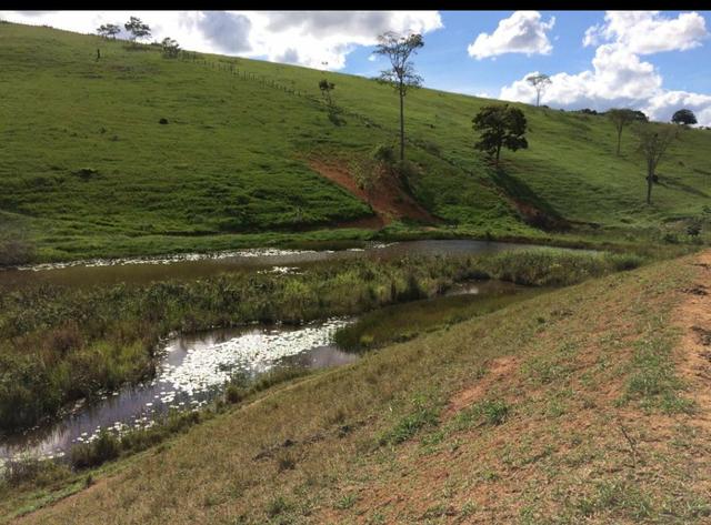 Fazenda região de Itanhaém BA - Foto 4
