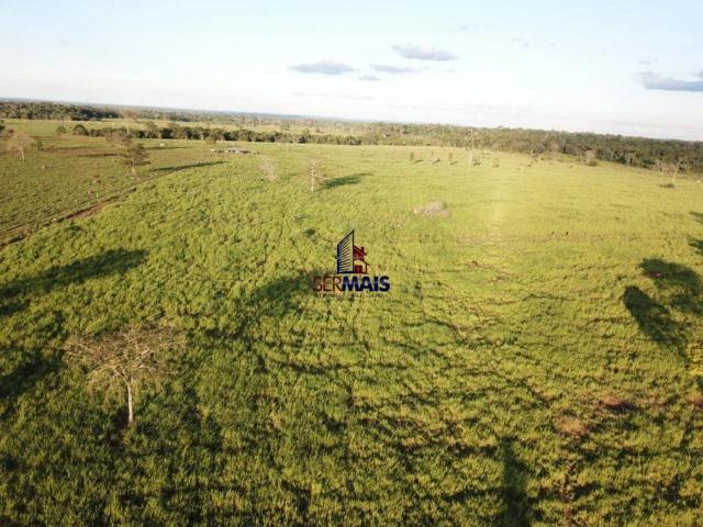 Fazenda à venda, 105 alqueires por R$ 2.625,000 - Alta Floresta D'Oeste/RO - Foto 6