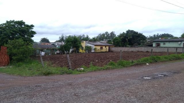 Terreno grande oportinidade - Foto 5