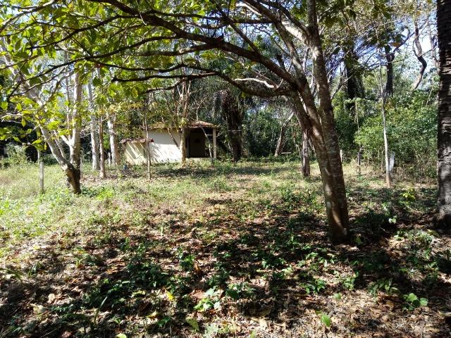 Rancho beira do rio cuiaba - Foto 11
