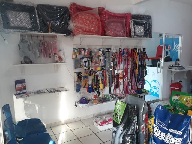 Passo Petshop - TURU - Foto 7