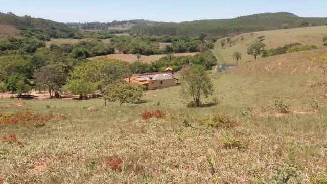 91C/Bela fazendinha de 13 ha em ótimo local e com tudo que a gente quer - Foto 3