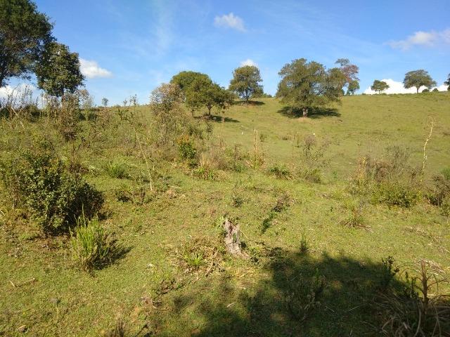 Chácara de 4.300m2 em Bocaiuva do Sul - Foto 9