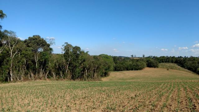 Chácara em Campo Largo Bairro Rondinha - Estrada da Sereia